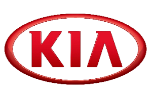 Wiązki dedykowane do KIA Niro Hybrid, 2016, 2017