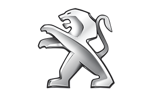 Haki holownicze Peugeot 307, 2001, 2002, 2003, 2004, 2005, 2006, 2007, 2008, 2009, 2010